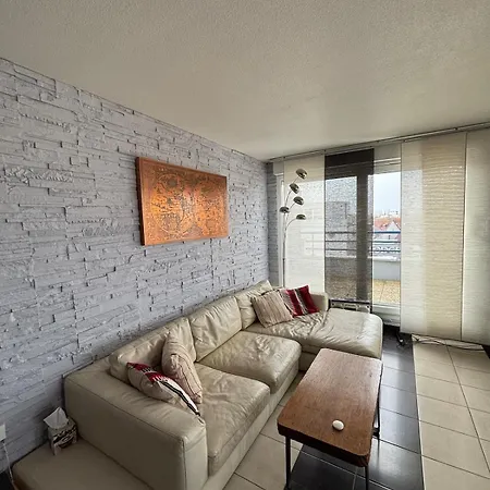 Attique Avec Terrasse - Zenith & Centre-ville Apartment